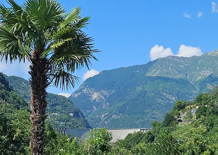 Apartament Casa Fery *